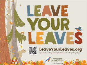 Image of Leave Your Leaves yard sign