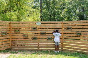 A student looks through the Chapel Hill library bird blind at Pritchard Park. 